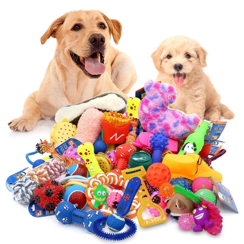 Pets That Play Dog Play Toy Assorted Shapes Wholesale