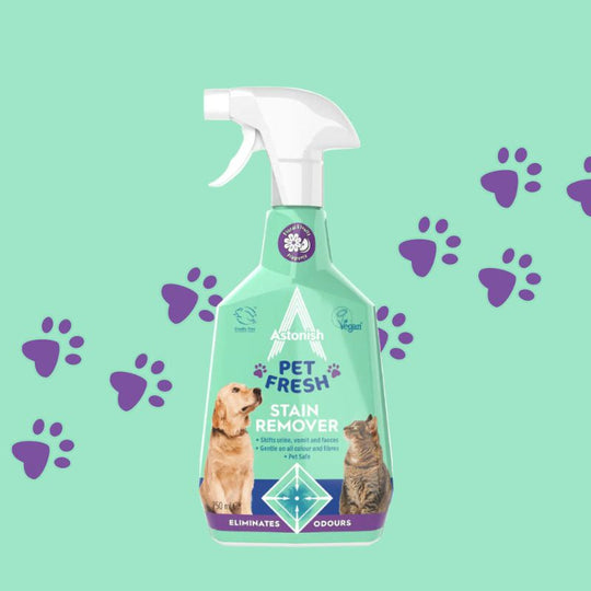 Astonish Pet Stain & Odour Neutraliser 750ml - Case of 12