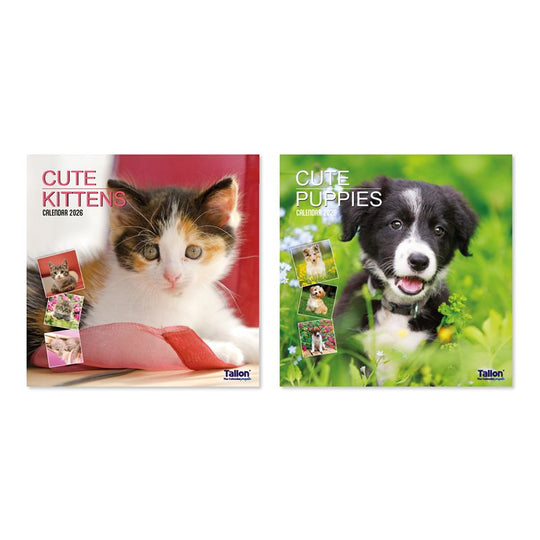 Square Calendar Kittens and Puppies Year 2026 - Case of 12