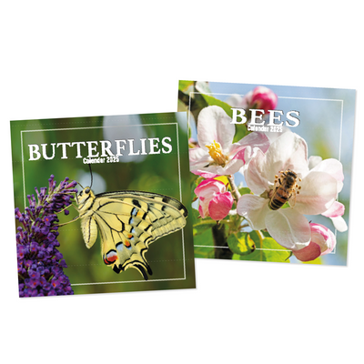 Square Calendar: Bees and Butterflies Year 2025 - Case of 12