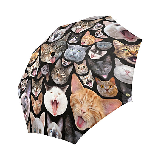 Mini Black Umbrella With Humourous Cat Design