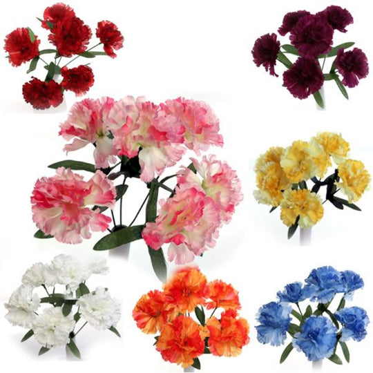 Flower Carnation Bush