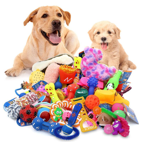 Assorted dog toys discount