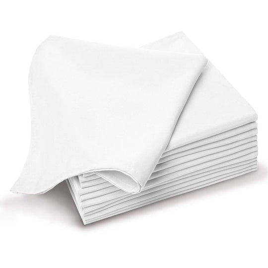 Eco Wise White Napkins 100 Pack