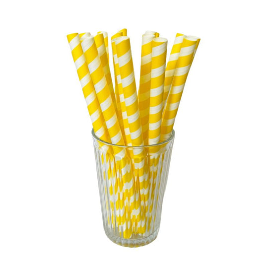 Delight Stripe Paper Straws 10mm 40 Pack
