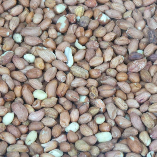 Brinvale Wholesale Peanuts 2.5kg