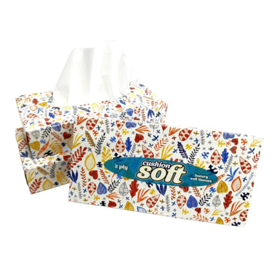 Cushion Soft Regular Size Facial Tissue 100 Pack 2ply - Case of 24