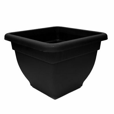 Winchester Square Bellpot 38cm Ebony