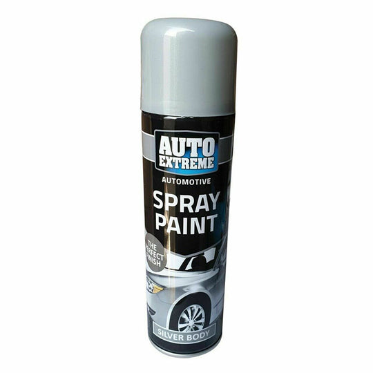 Rapide Auto Extreme Automotive AX Spray Paint Silver Body 250ml - Case of 12