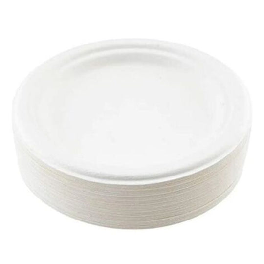 Time To Party Paper Plate (7") 25 Pack