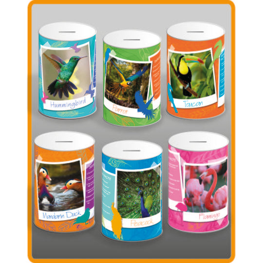 Exotic Birds Money Tin