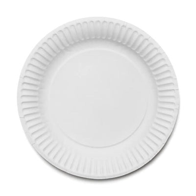 Delight Disposable Paper Plates 23cm (9”) White 25 Pack