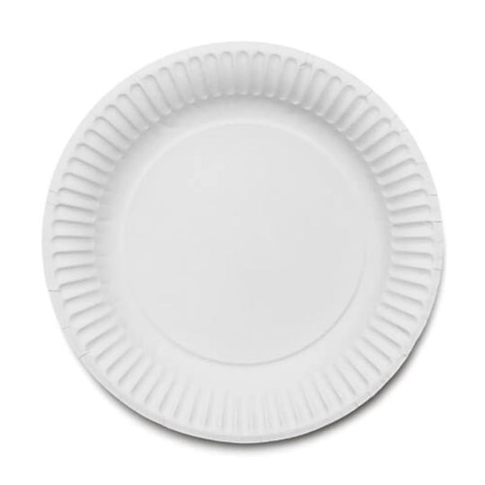 Delight Disposable Paper Plates 23cm (9”) White 25 Pack