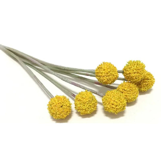 Ball Flowers Bunch 7 Heads