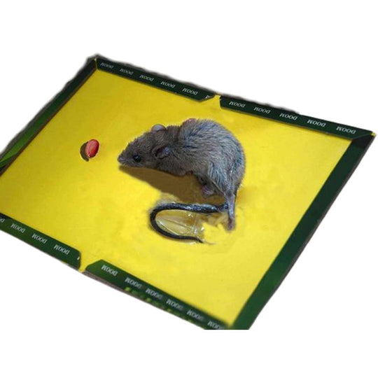 Mouse Glue Board