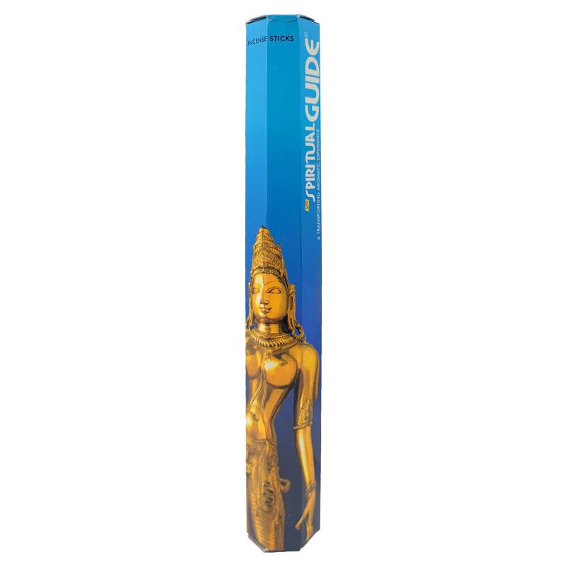 Padmini Spiritual Incense Guide Pack – 6 Cones, 20 Sticks Each (Total 120) + Free
