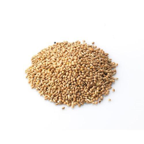 Trade Peanuts 250g