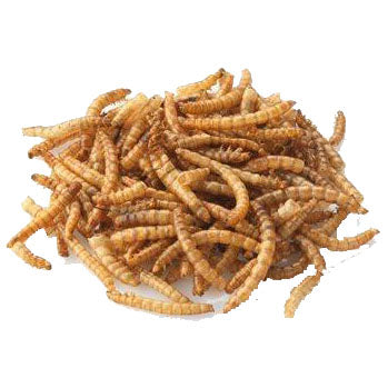 Brinvale Dried Mealworms 100g - Case of 12