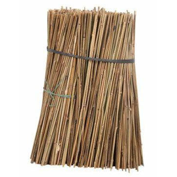 Bamboo Canes 4' 250 Pack