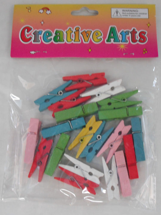 20 pack Craft Pegs