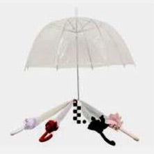 Clear Dome Umbrella with Colour Border 23"
