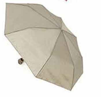 Mini Umbrella Mushroom Colour